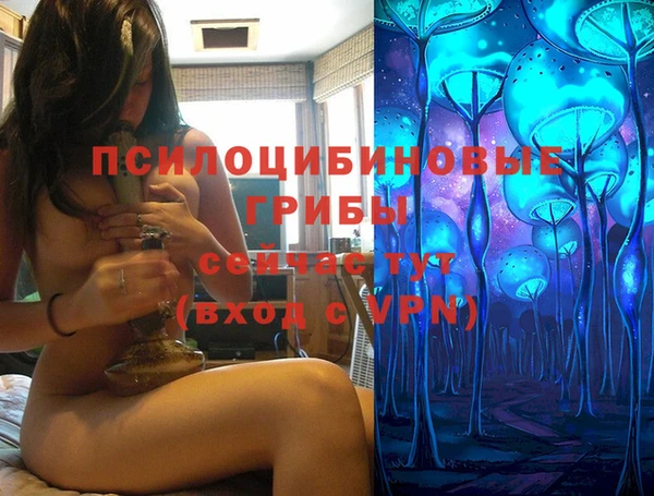 стафф Алзамай