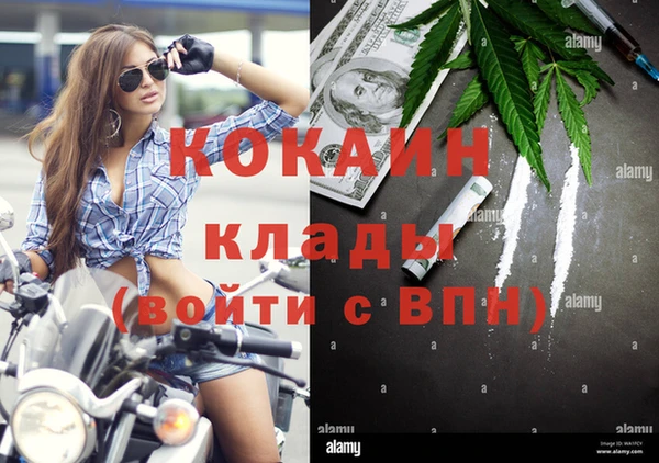 стафф Алзамай