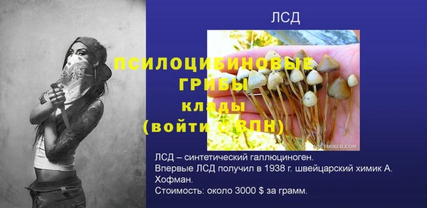 бошки Алексин